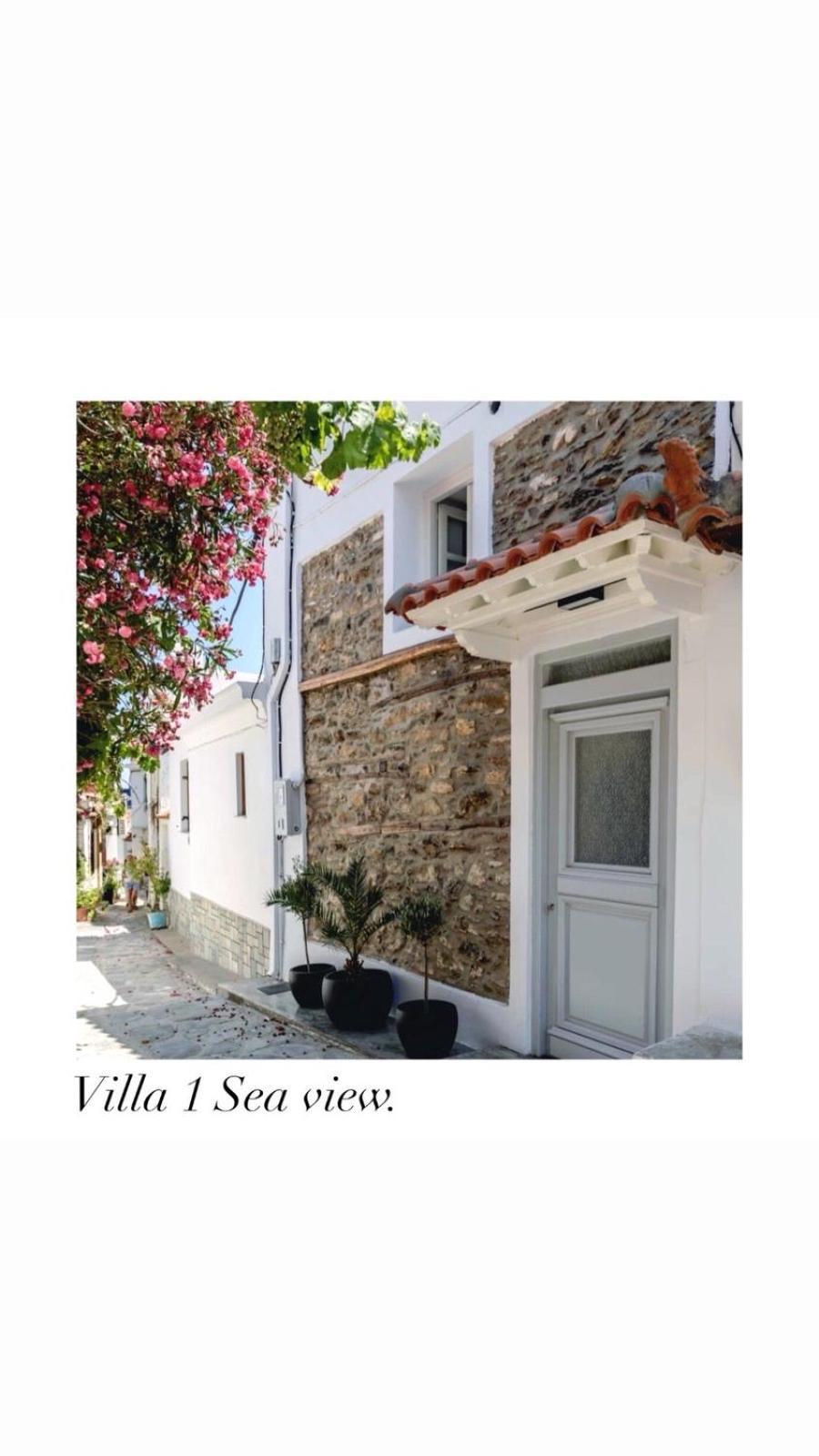Evageliasvilla Sea View 斯科派洛斯 外观 照片